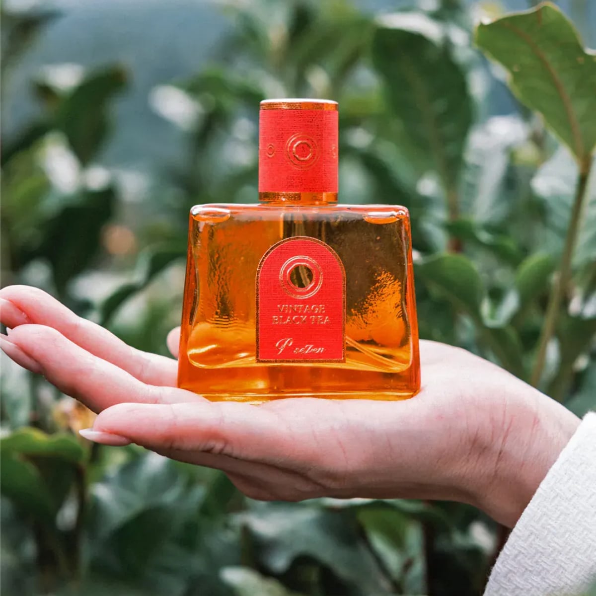 P.SEVEN 璞香香水-古早味紅茶｜EVA SKY SHOP