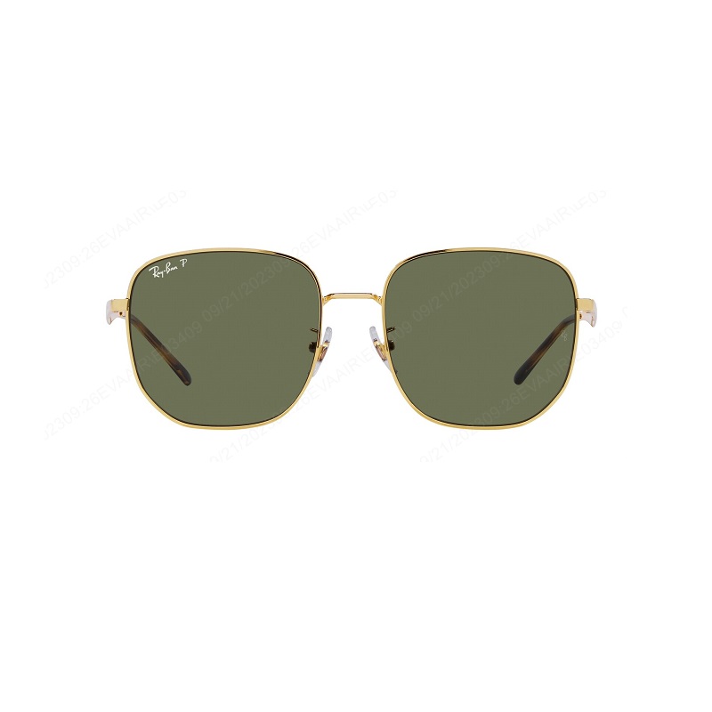 JILL STUART Clemmie Sunglasses｜EVA SKY SHOP