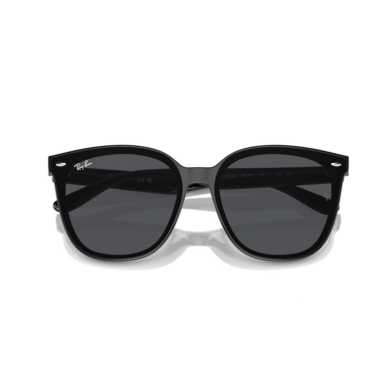 Ray-Ban RB4423D Sunglasses-Black/Dark Grey｜EVA SKY SHOP